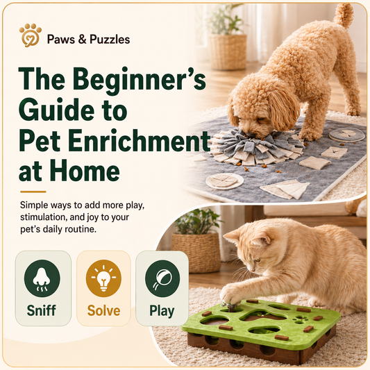 The Beginner's Guide to Pet Enrichment at Home