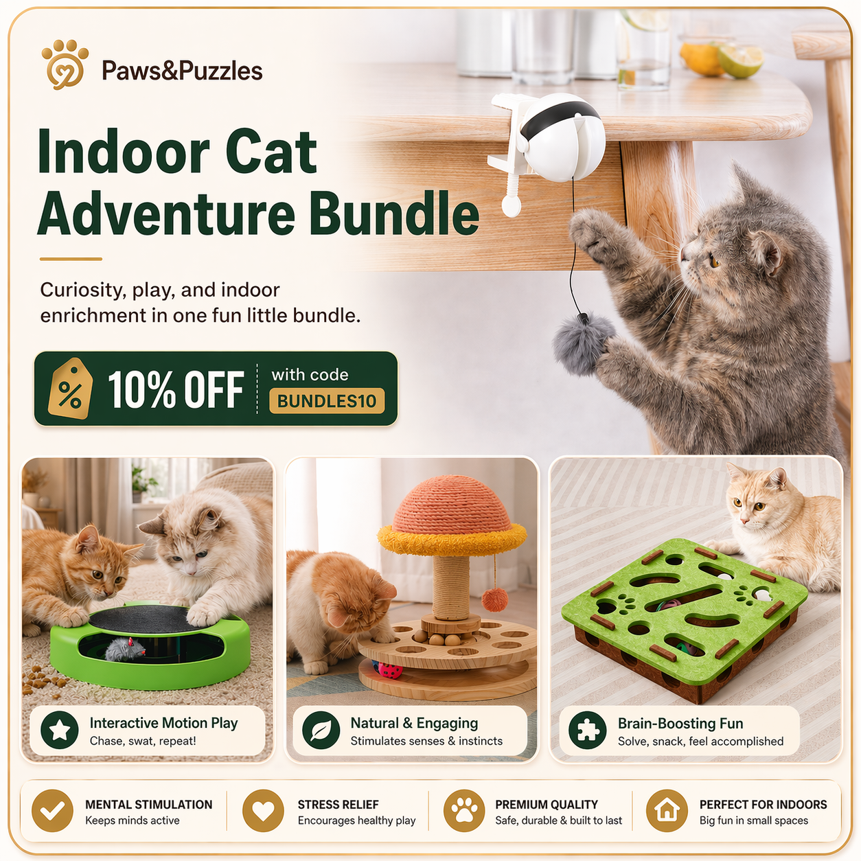 Indoor Cat Adventure Bundle