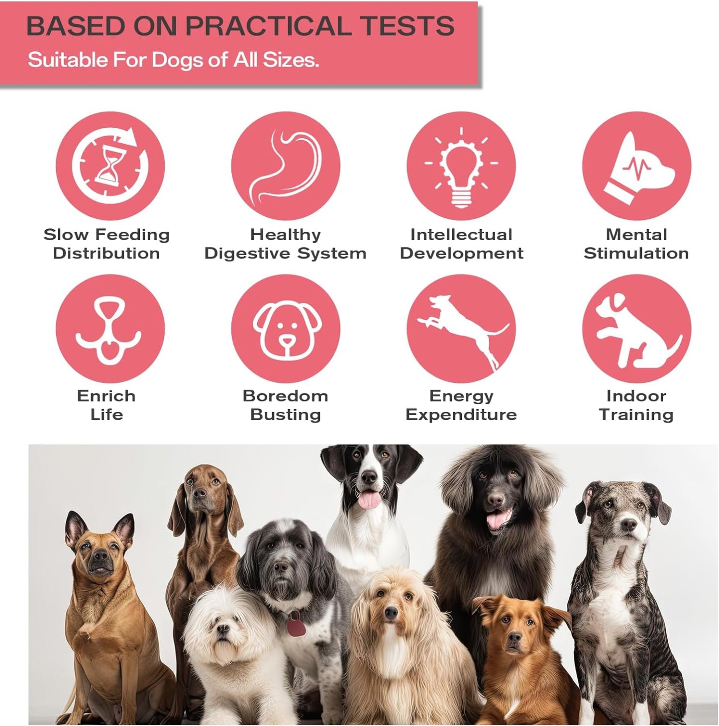 Interactive Kibble & Treat Dispenser