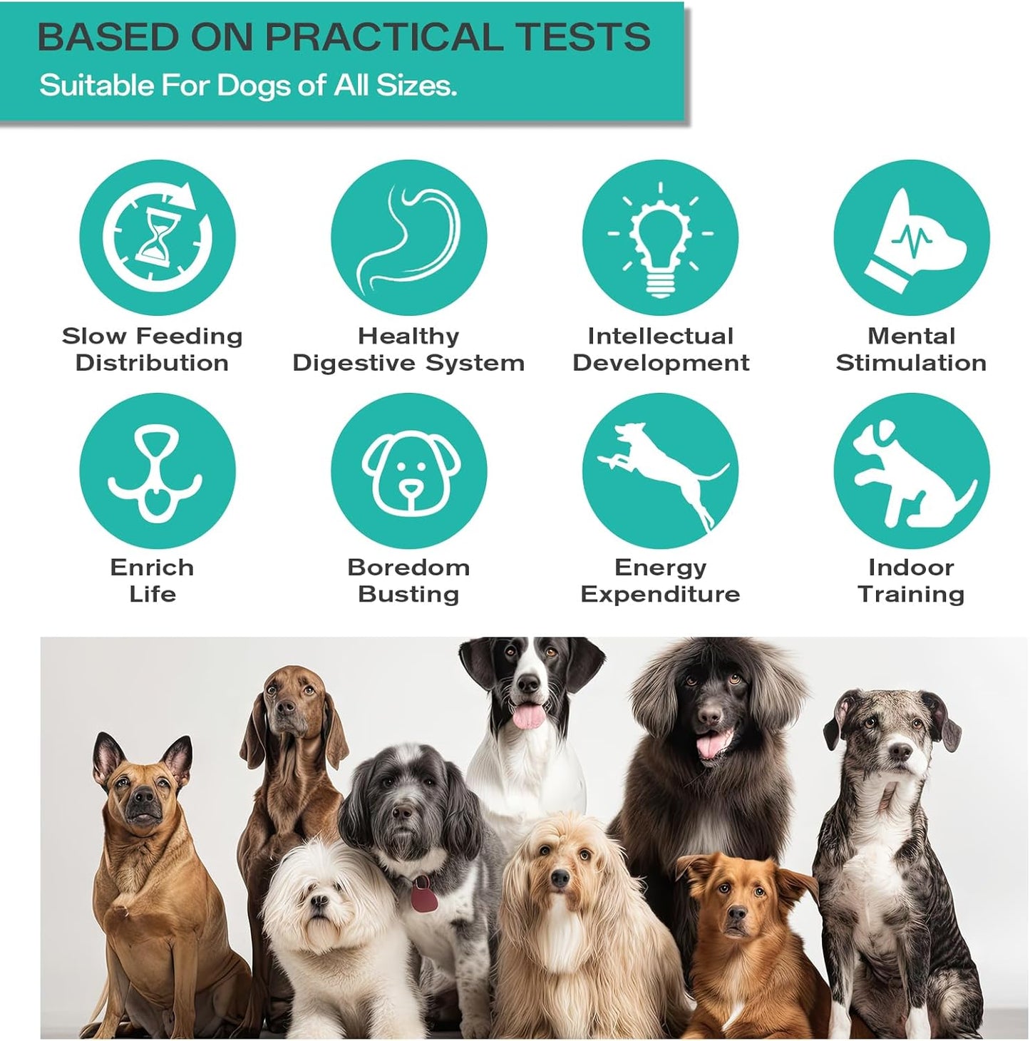 Interactive Kibble & Treat Dispenser