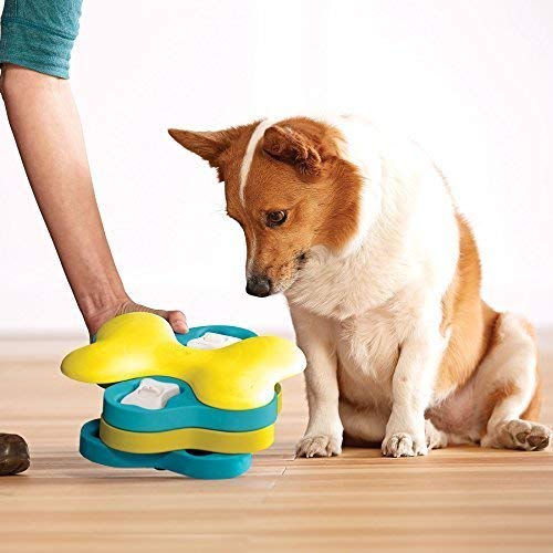 Spin & Snack Puzzle Feeder
