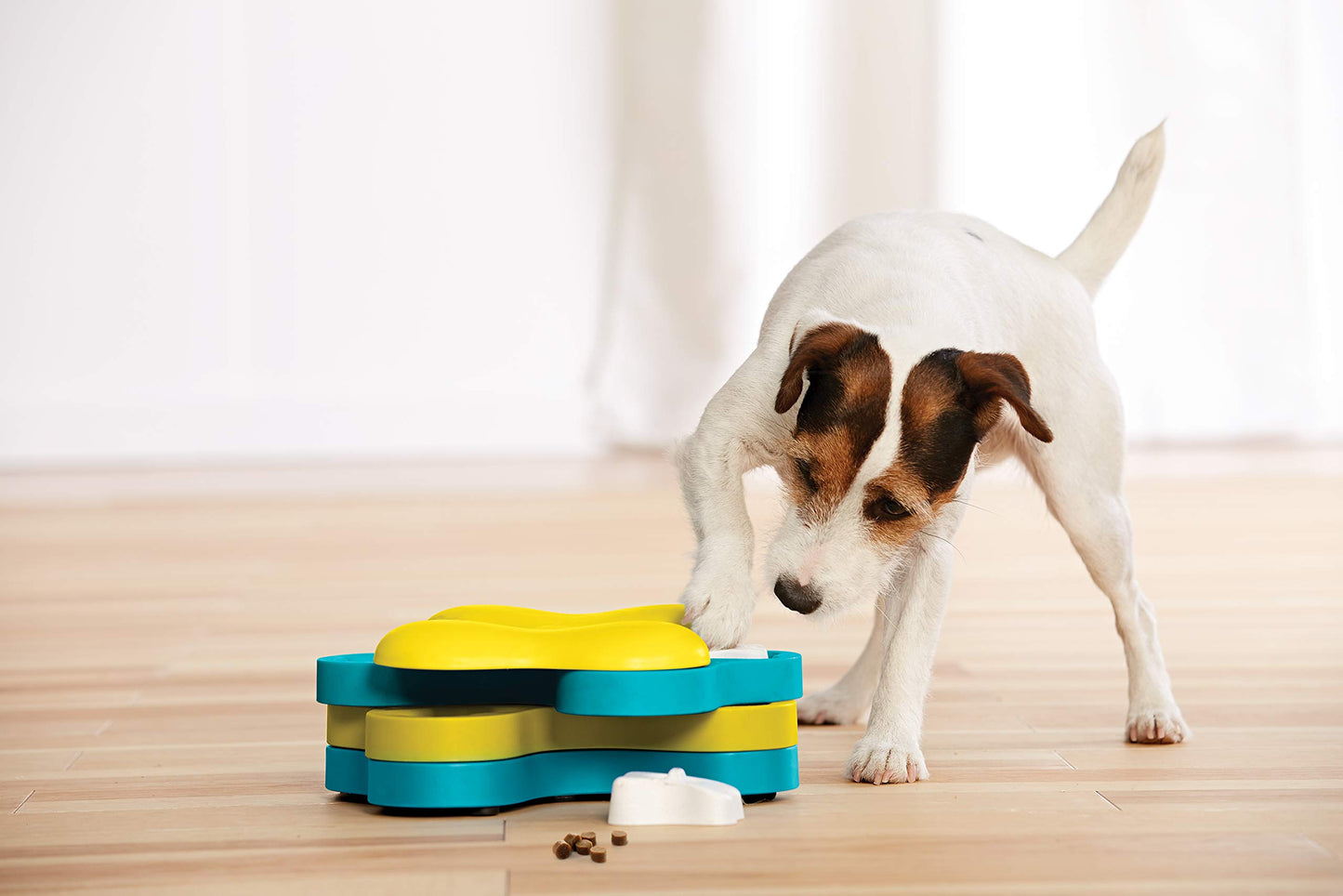 Spin & Snack Puzzle Feeder