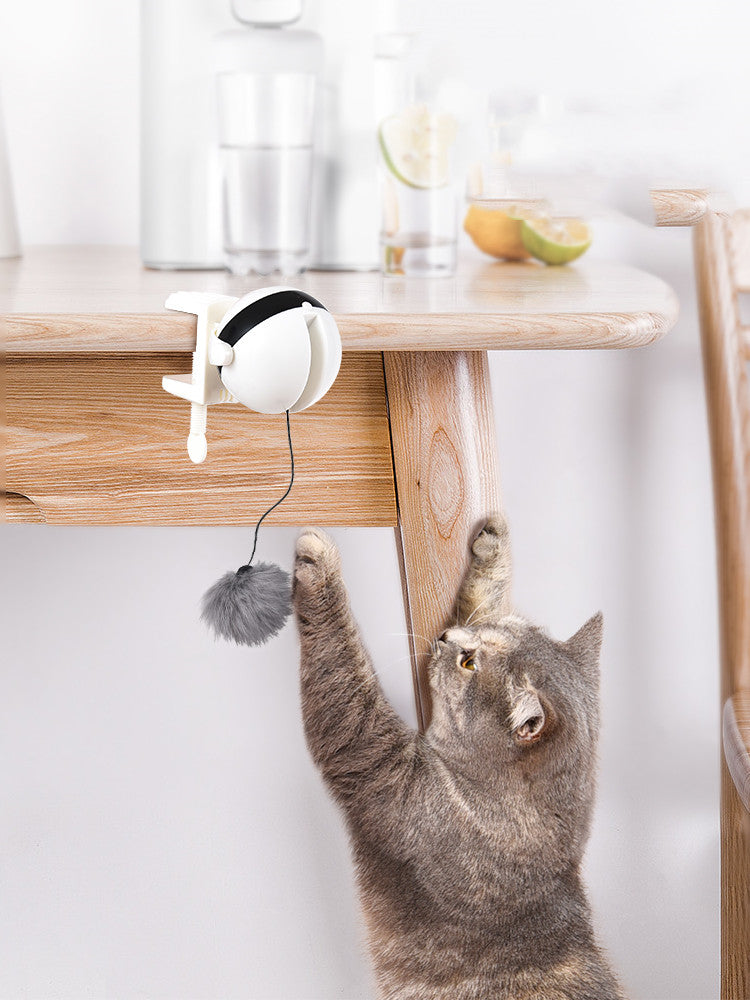 Automatic Pet Teaser Ball