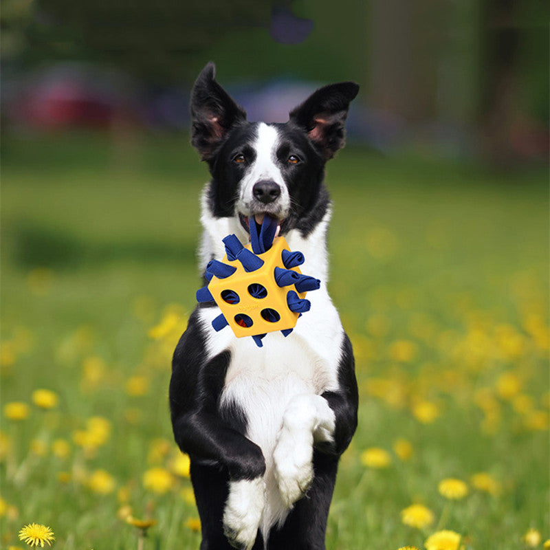 Snuffle Cube & Treat puzzle