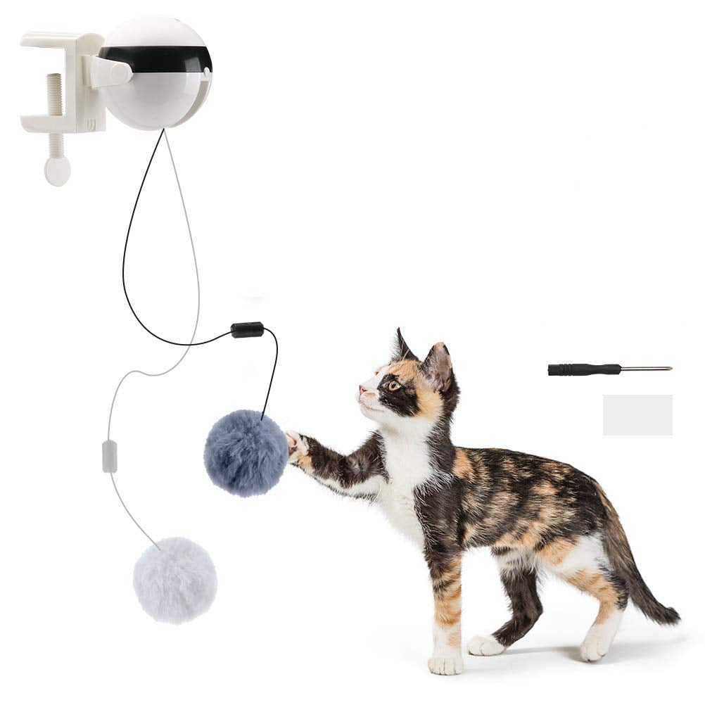 Automatic Pet Teaser Ball