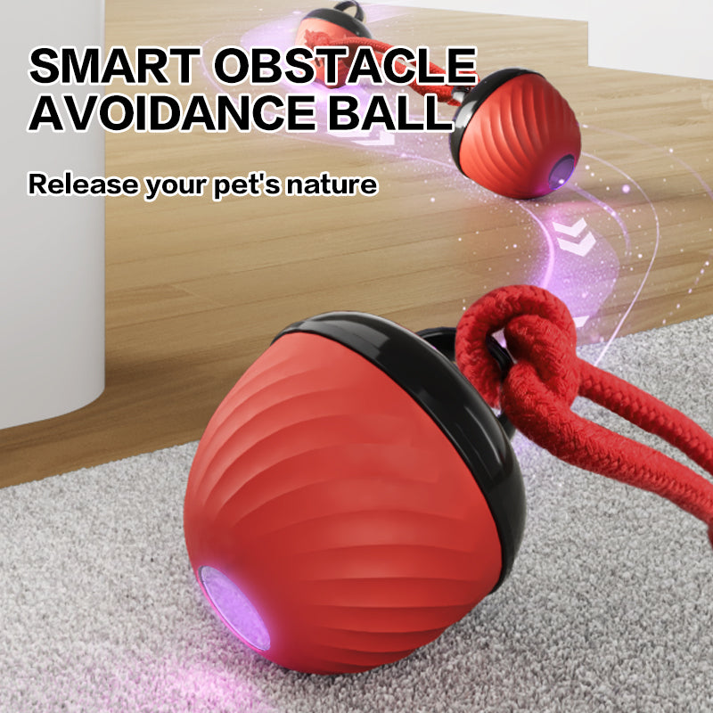 Smart Moving Ball Toy & USB rechargeable