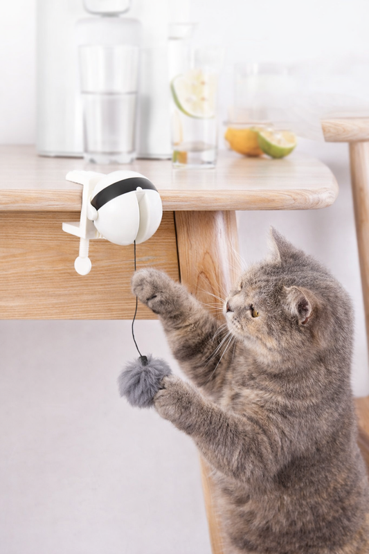 Automatic Pet Teaser Ball