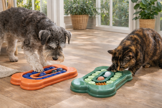 Daily Enrichment Treat & Kibble Puzzle
