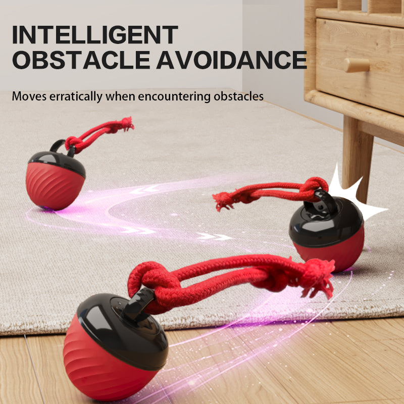 Smart Moving Ball Toy & USB rechargeable