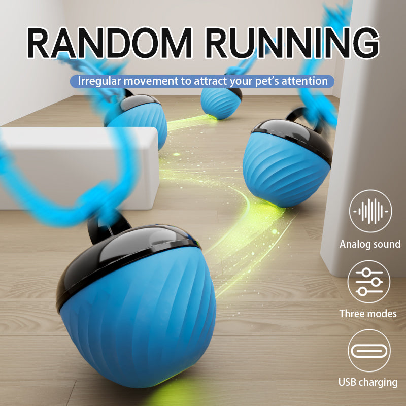Smart Moving Ball Toy & USB rechargeable
