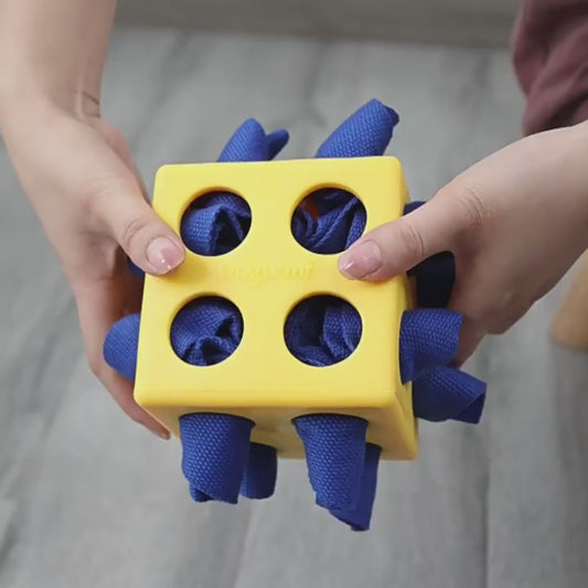Snuffle Cube & Treat puzzle